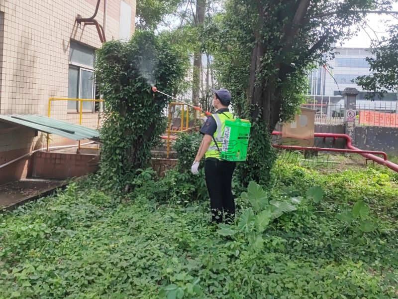 东莞专业杀虫公司,东莞灭蚊灭蟑螂,东莞杀臭虫 东莞专业杀虫公司,东莞灭蚊灭蟑螂,东莞杀臭虫