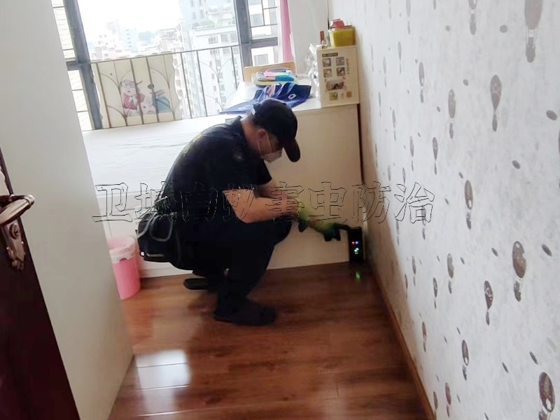 白云区别墅白蚁防治-白云白蚁防治中心电话-卫城白蚁防治技师团队携高端白蚁检测设备上门检测治理