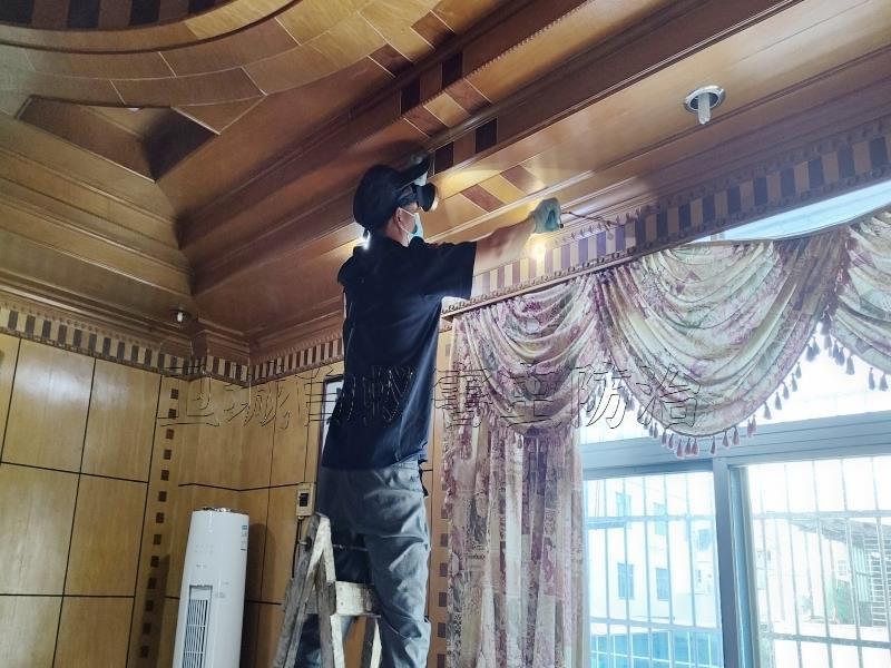 广州天河白蚁防治专家，采用先进技术检测与治理，保障您的房屋安全无忧。