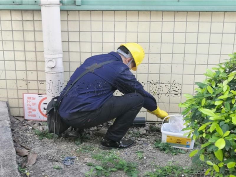 东莞除四害,塘厦灭鼠灭蟑螂,凤岗消毒杀虫