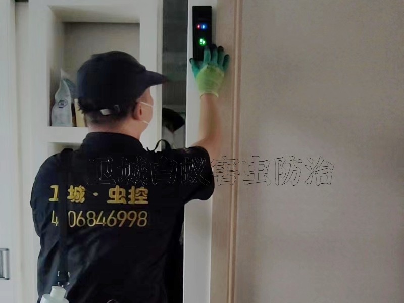 东莞靠谱白蚁防治公司推荐卫城虫控