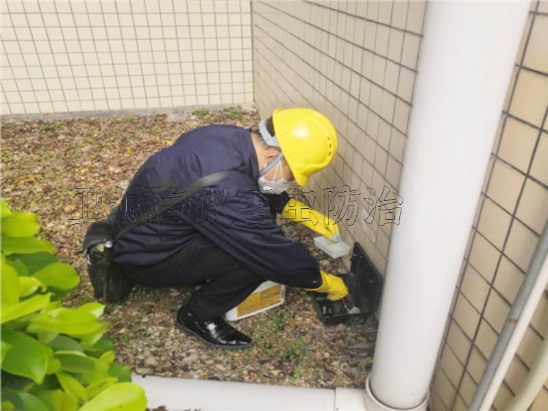 谢岗工厂灭鼠公司，樟木头杀臭虫，黄江除四害公司卫城虫控