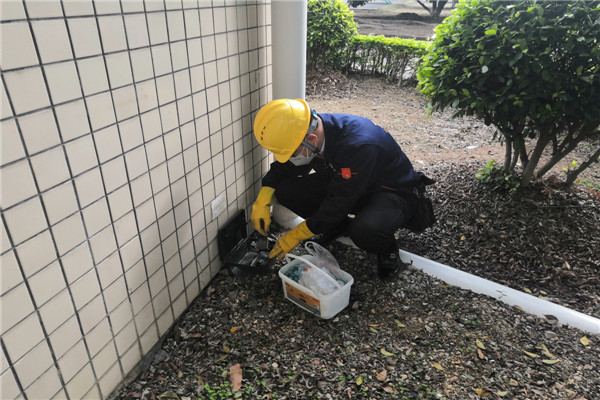 东莞专业工厂灭鼠公司,东城白蚁防治中心,南城除四害 东莞专业工厂灭鼠公司,东城白蚁防治中心,南城除四害